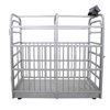 FCL 1000kg livestock scale