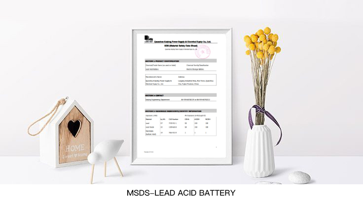 MSDS-Lead-Acid-Battery