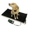 FCW animal weighing pet/vet/dog/livestock scale with stainless steel platform