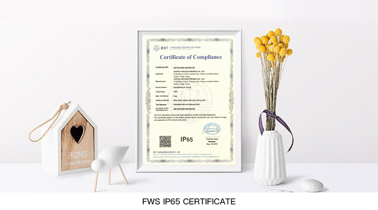 FWS-IP65-certificate