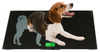 FCW-G 150kg animal weighing glass pet scale weighing dog
